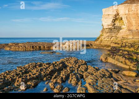 Lumière du soir sur les rochers de Thornwick Bay Banque D'Images