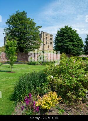 Fleurs dans le jardin clos de Helmsley Banque D'Images