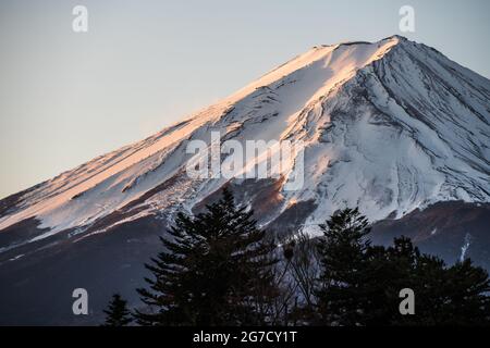 Vue matinale sur le Mont Fuji depuis la ville de Kawaguchiko au Japon. Sommet enneigé de la plus haute montagne du Japon depuis une ville japonaise. Banque D'Images