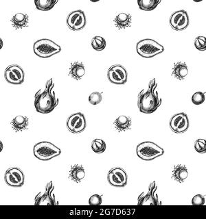 Motif sans couture avec papaye noir et blanc, goyave, fruit de la passion, rambutan, pitaya, mangoustan Illustration de Vecteur