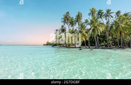 Plage de palmiers à couper le souffle et rêveuse au coucher du soleil. Banque D'Images