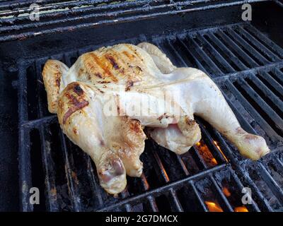 Poulet à la fleur de bruyère à motif de cratchcoché de Roam Butcher's Shop et Cook's Venture, grillades sur un barbecue de jardin en préparation de la fête des pères, Lafayette, Californie, le 19 juin 2021. () Banque D'Images