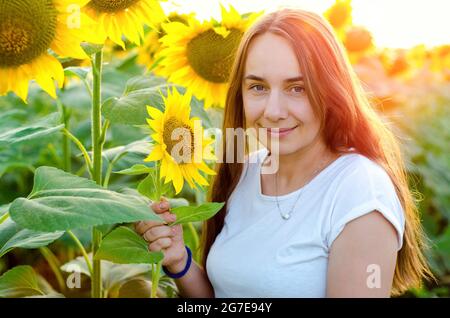 belle femme dans le champ de tournesols Banque D'Images