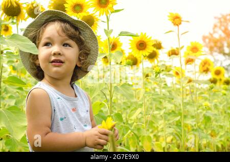 petit garçon dans le champ de tournesol Banque D'Images