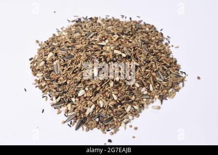 Tas de mélange de grains pour les oiseaux de type Chloris chloris Banque D'Images