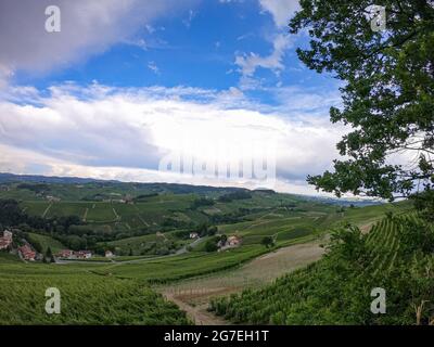 Vue panoramique sur les collines des Langhe de Novello, Piémont - Italie Banque D'Images