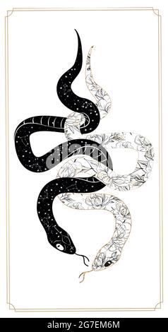Cartes de tarot de serpent magique. astrologie ésotérique occulte magique. Boho chic tatouage, affiche, tapisserie ou autel voile dessin illustration vectorielle Illustration de Vecteur