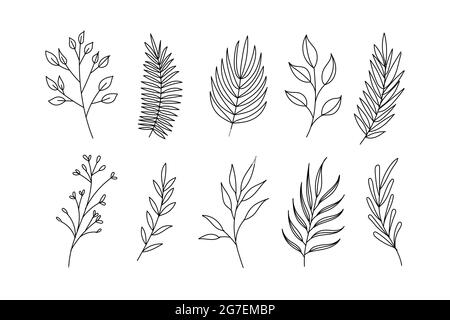 Collection d'illustrations vectorielles de feuilles dans des dessins à la main. Illustration de Vecteur