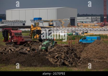 West Hyde, Royaume-Uni. 9 juillet 2021. Les restes d'arbres abattus sont illustrés sur le site South Portal de la section tunnel Chiltern de la liaison ferroviaire à grande vitesse HS2. HS2 Ltd a annoncé le lancement de la deuxième foreuse de tunnel (TBM) de 2,000 tonnes, nommée Cecilia d'après l'astronome et astrophysicien Cecilia Payne-Gaposchkin, pour creuser un second tunnel de 10 milles sous les Chilterns. Crédit : Mark Kerrison/Alamy Live News Banque D'Images