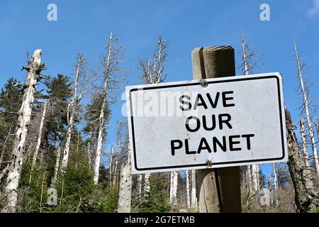 Signe avec l'inscription Save Our Planet. En arrière-plan une forêt morte en Allemagne Banque D'Images