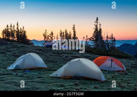 Tentes dans la lumière de l'aube près de Marmot Pass dans la région sauvage de Buckhorn, la forêt nationale olympique, les montagnes olympiques, l'État de Washington, États-Unis Banque D'Images