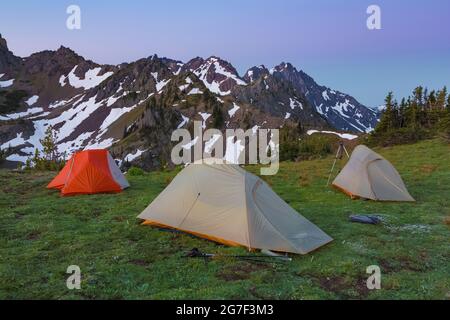 Tentes dans la lumière de l'aube près de Marmot Pass dans la région sauvage de Buckhorn, la forêt nationale olympique, les montagnes olympiques, l'État de Washington, États-Unis Banque D'Images