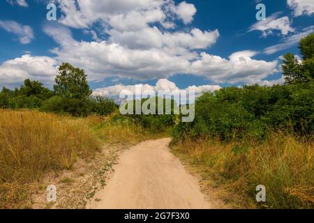 Poncer la route entre les buissons verts. Grands nuages blancs dans le ciel bleu. Paysage d'été Banque D'Images