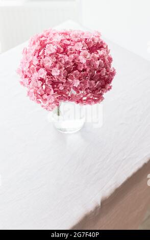 De belles fleurs d'hortensia roses dans un vase sur une table. Banque D'Images