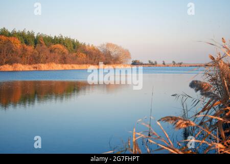 Belle forêt en face d'un lac bleu clair tournant orange à temps pour la saison d'automne Banque D'Images
