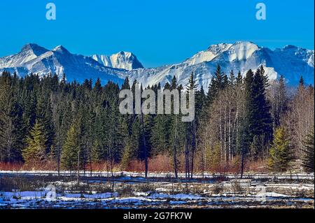 Paysage hivernal des montagnes Rocheuses enneigées dans les régions rurales du Canada de l'Alberta Banque D'Images