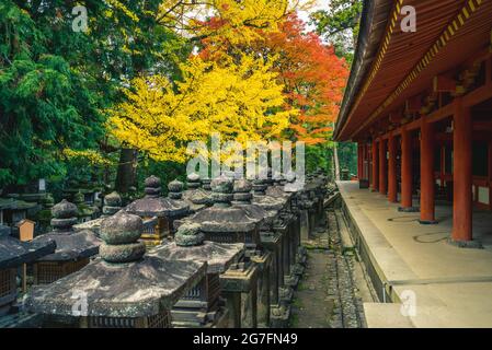 Kasuga Taisha, un sanctuaire d'un millier de lanternes à nara, kansai, japon Banque D'Images