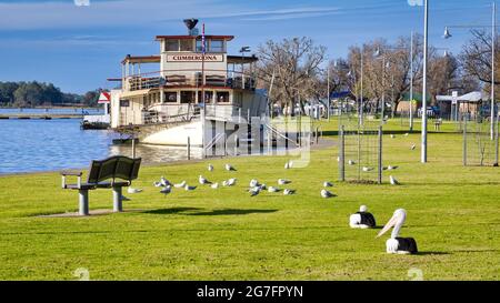 Yarrawonga, Victoria Australie - 13 juillet 2021 : deux bateaux de plaisance sur la rive du lac Mulwala en Nouvelle-Galles du Sud Banque D'Images