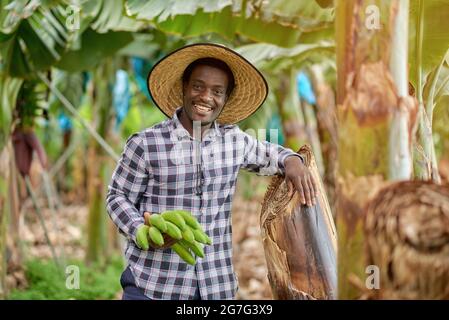 Joyeux fermier noir en chemise à carreaux avec bouquet de bananes vertes regardant l'appareil photo tout en s'appuyant sur le tronc de plante Banque D'Images