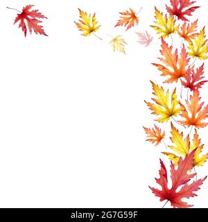 Feuilles d'érable d'automne. Arrière-plan. Aquarelle Banque D'Images