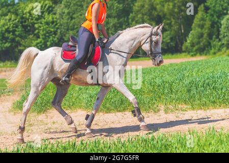 Concurrent fille équitation cheval dans le champ d'été pré.Jeune cavalier gallerps par le jour ensoleillé d'été.Rivalry concept. Banque D'Images