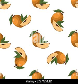 Motif sans couture avec des fruits frais de sapodilla isolés sur fond blanc. Fruits d'été pour un style de vie sain. Fruits biologiques. Style de dessin animé. Vecteur i Illustration de Vecteur