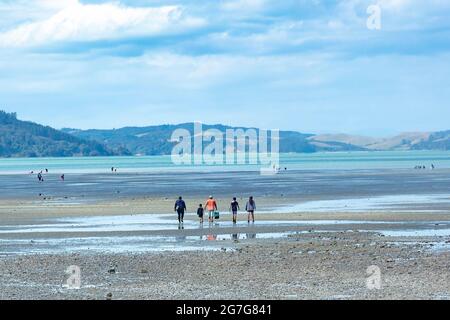 Les gens ramassant des coques à marée basse de la plage de la baie de Kawakawa, en Nouvelle-Zélande, en été. Banque D'Images