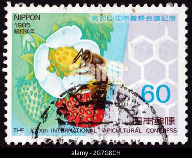 JAPON - VERS 1985 : un timbre imprimé au Japon montre les plantes de Honeybee et de fraise, 30e Congrès apicole international, Nagoya, vers 1985 Banque D'Images