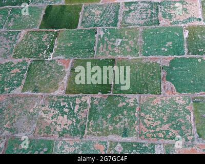 Vieux carreaux verts sur le sol Banque D'Images