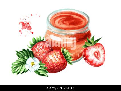 Confiture de fruits bio. Pot en verre de marmelade strawbery et fruits frais isolés sur fond blanc. Illustration aquarelle dessinée à la main Banque D'Images