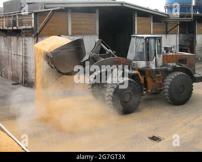 Chargement de fourrage par chargeur sur roues à godets, Autriche Banque D'Images