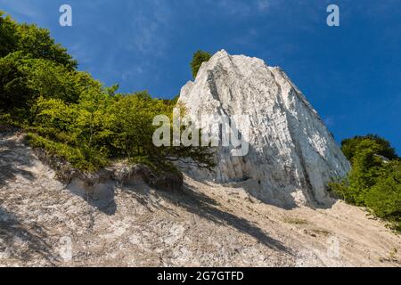 falaise de craie Koenigsstuhl sur Ruegen, Mecklembourg-Poméranie occidentale, Ruegen, parc national de Jasmund Banque D'Images