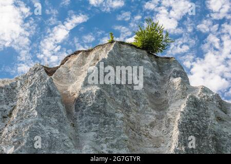 falaise de craie Koenigsstuhl sur Ruegen, Mecklembourg-Poméranie occidentale, Ruegen, parc national de Jasmund Banque D'Images