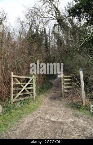 North Downs Way sentier longue distance et porte dans la forêt de Junipers au-dessus de Wye, Ashford, Kent, Angleterre, Royaume-Uni Banque D'Images