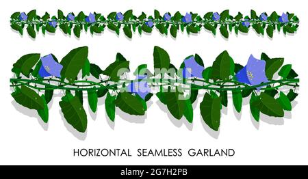 Fleurs de liana vert avec fleurs bleues pour la décoration de cadres, cartes d'invitation. Vecteur isolé sur fond blanc Illustration de Vecteur