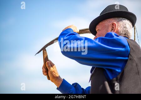 L'homme âgé aiguise son scythe au cours d'une récolte traditionnelle dans les zones rurales de l'est de la Hongrie Banque D'Images