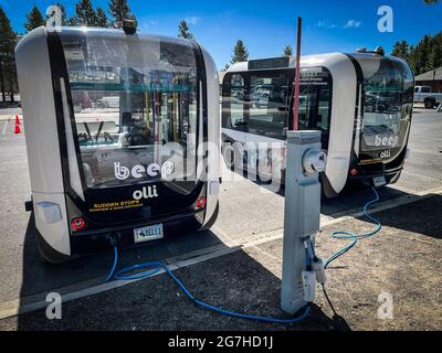 La navette électrique de la compagnie BEEP (EV) pour LES FANES sans conducteur est utilisée pour transporter des touristes à Canyon Village dans le parc national de Yellowstone, Wyoming, États-Unis. Banque D'Images