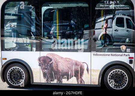 La navette électrique de la compagnie BEEP (EV) pour LES FANES sans conducteur est utilisée pour transporter des touristes à Canyon Village dans le parc national de Yellowstone, Wyoming, États-Unis. Banque D'Images