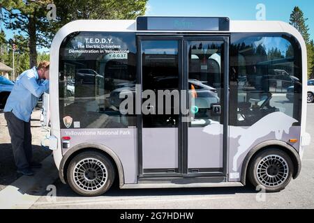 La navette électrique de la compagnie BEEP (EV) pour LES FANES sans conducteur est utilisée pour transporter des touristes à Canyon Village dans le parc national de Yellowstone, Wyoming, États-Unis. Banque D'Images