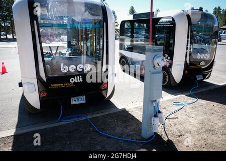 La navette électrique de la compagnie BEEP (EV) pour LES FANES sans conducteur est utilisée pour transporter des touristes à Canyon Village dans le parc national de Yellowstone, Wyoming, États-Unis. Banque D'Images