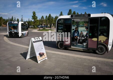 La navette électrique de la compagnie BEEP (EV) pour LES FANES sans conducteur est utilisée pour transporter des touristes à Canyon Village dans le parc national de Yellowstone, Wyoming, États-Unis. Banque D'Images