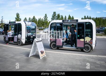 La navette électrique de la compagnie BEEP (EV) pour LES FANES sans conducteur est utilisée pour transporter des touristes à Canyon Village dans le parc national de Yellowstone, Wyoming, États-Unis. Banque D'Images