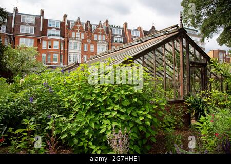 Green House au Chelsea Physic Garden, Londres, Royaume-Uni. Le Chelsea Physic Garden est l'un des plus anciens jardins botaniques de Grande-Bretagne. En 1673, c'était es Banque D'Images