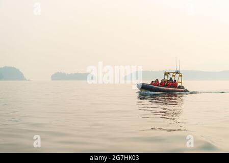 Touristes en bateau gonflable rigide lors d'une excursion d'observation des baleines à l'île de Vancouver, Telegraph Cove, Colombie-Britannique, Canada. Banque D'Images