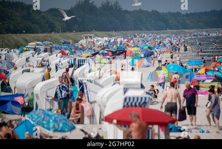 14 juillet 2021, Mecklembourg-Poméranie occidentale, Zingst: À la plage de la mer Baltique en face de la jetée, de nombreux baigneurs se sont installés à 26 degrés de température de l'air sur la plage. Photo: Stefan Sauer/dpa Banque D'Images