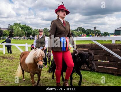 Harrogate, le 14 juillet 2021. Les poneys retournent dans les écuries après avoir remporté des prix au Great Yorkshire Show. Credit: ernesto rogata/Alay Live News Banque D'Images