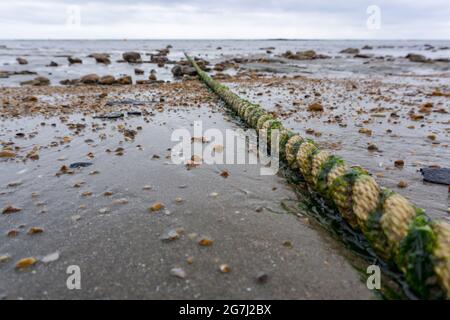 Une vieille corde recouverte d'algues s'étend du rivage à la mer Banque D'Images