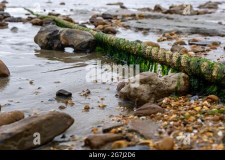 Une vieille corde recouverte d'algues s'étend du rivage à la mer Banque D'Images