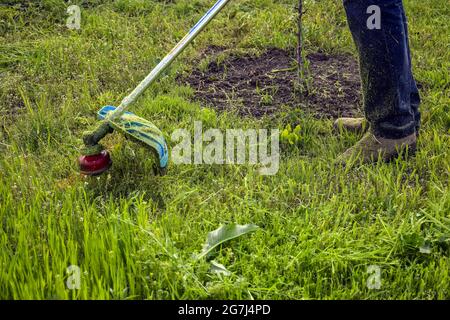 Processus de coupe de l'herbe verte avec le coupe-herbe dans le jardin. La tête rotative avec ligne de pêche rouge coupe l'herbe. Tondeuse à essence. Banque D'Images