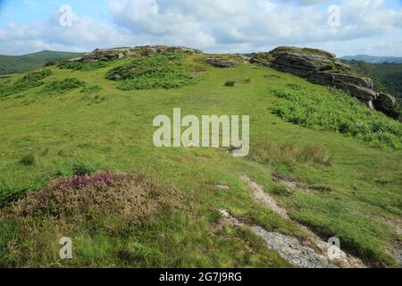 Vue d'été sur Bench tor, parc national de Dartmoor, Devon, Angleterre, Royaume-Uni Banque D'Images